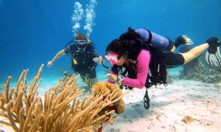 Aruba Discover Scuba Diving