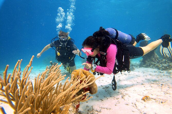 Aruba Discover Scuba Diving