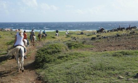 Aruba Horseback Riding Tour to Hidden Lagoon