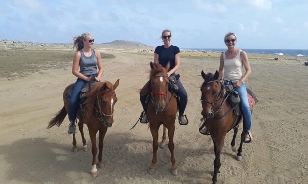 Aruba Horseback Riding Tour For Advanced Riders