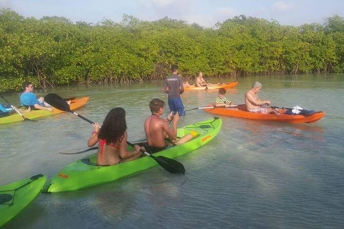 Aruba Mangrove Forest Tour