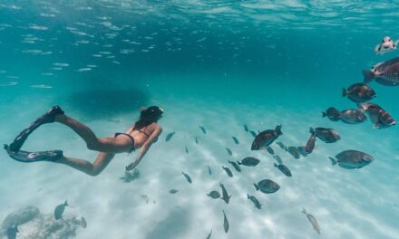 Aruba Sailing & Snorkeling Experience