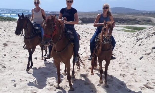 Aruba Sunset Horseback Riding