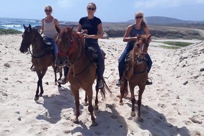 Aruba Sunset Horseback Riding