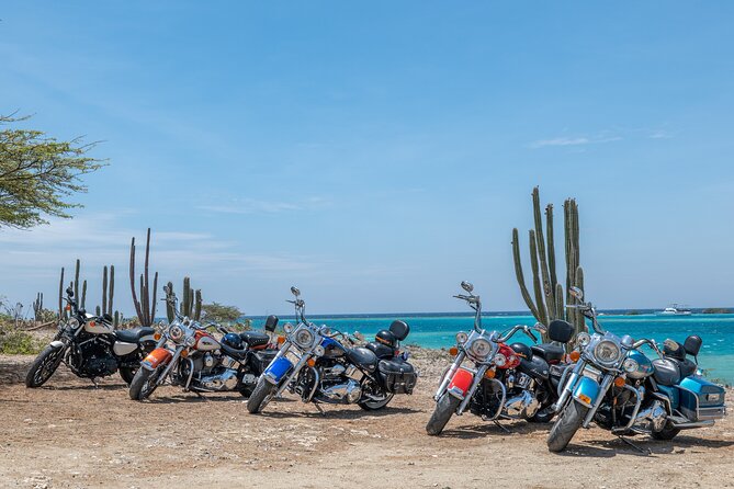 Harley-Davidson RENTALS Aruba