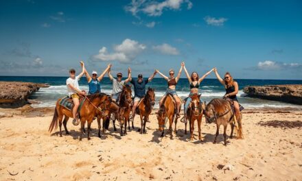 Aruba North Countryside National Park & Beach Horseback Ride