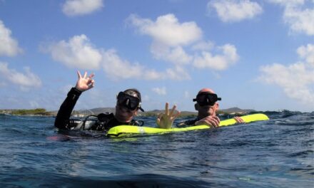 Aruba 2-Tank guided Dive for certified divers with rental equipment Or Own Equipment