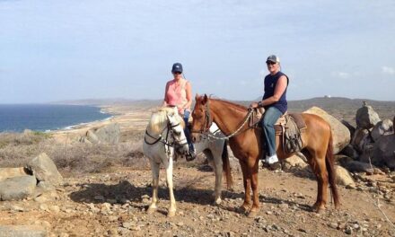 Aruba Sunset Horseback Ride