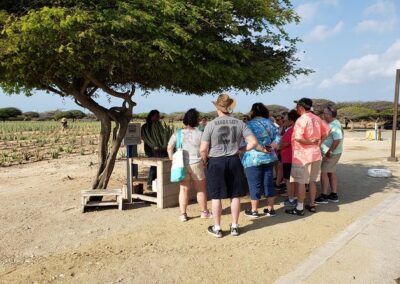 Essential Tour of Aruba