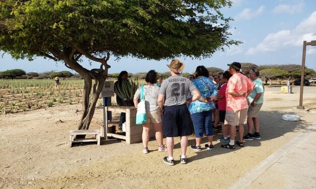 Essential Tour of Aruba