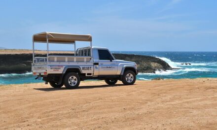 Aruba Safari Jeep Tours