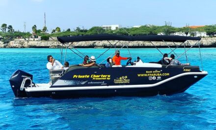 Aruba Element Private Boat Charter