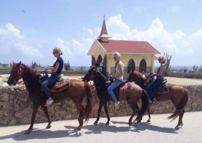 Aruba Horseback Alto Vista