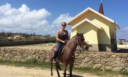 Aruba Horseback Alto Vista