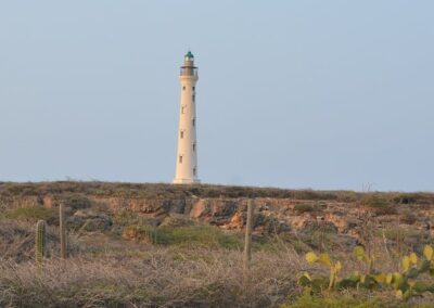 Essential Tour of Aruba