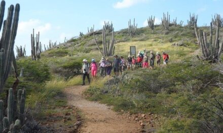 Arikok Hiking Tour Aruba