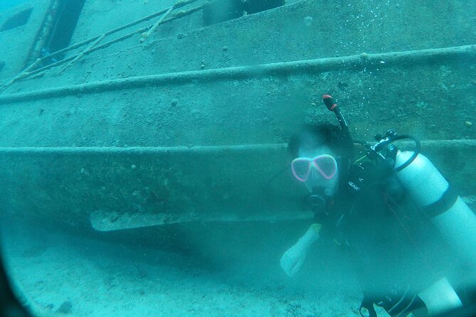 Shore Dive Aruba for Certified Divers