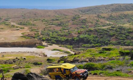 Aruba Jeep Safari lunch & open bar