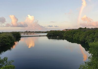 Lagoon Mangrove Trail Aruba