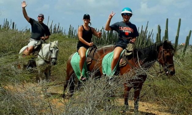 Private Sunset Horseback Aruba