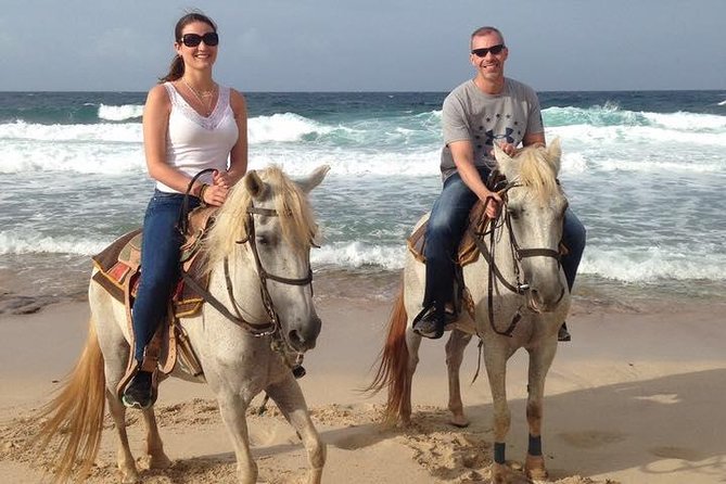Aruba Horseback Riding Advanced Riders