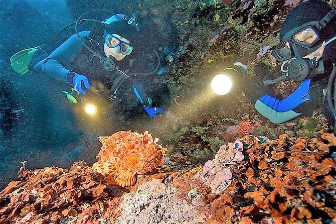 Aruba Night Dive for certified divers with own equipment