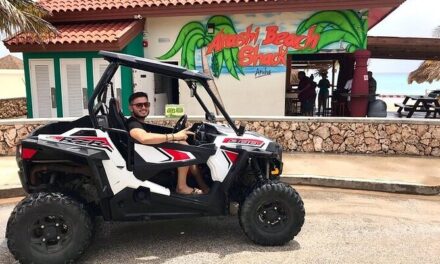 Half Day Aruba UTV Tour on a Polaris Razor