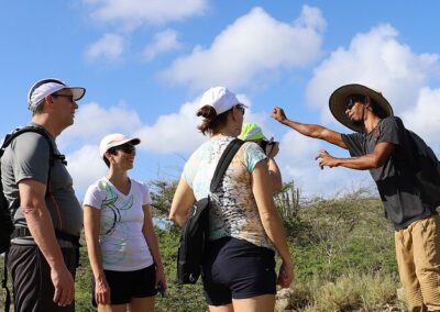 Lagoon Mangrove Trail Aruba