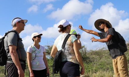 Spanish Lagoon Mangrove Trail Aruba