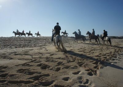 Aruba horseback riding