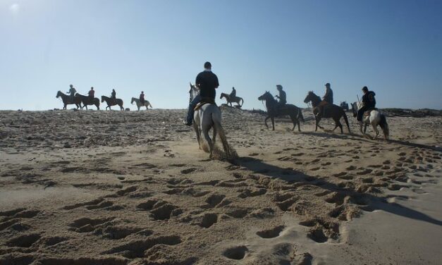 Aruba Horseback Riding Advanced Riders