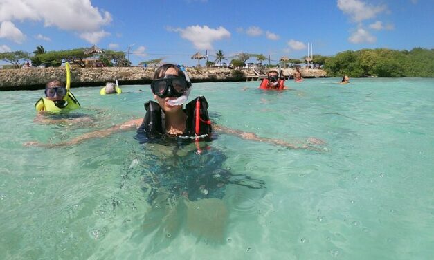 DISCOVER SNORKELING MANGEL HALTO ARUBA