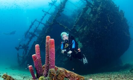 Aruba Red Sail Scuba Dive