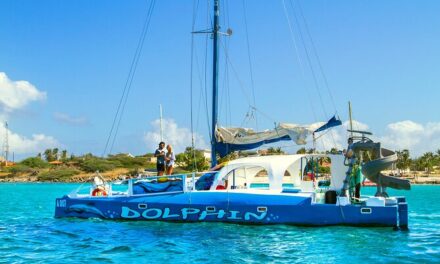 Private Catamaran Adventure Cruise