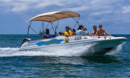 Private Cruise Aruba Coast line