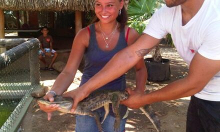 Animal Sanctuary Tour Aruba (halfday)