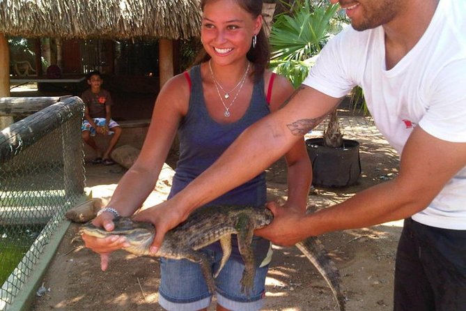 Animal Sanctuary Tour Aruba (halfday)