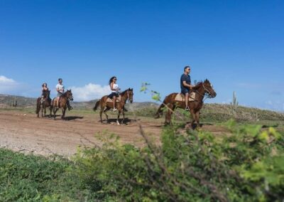 Horseback Wariruri Beach Aruba