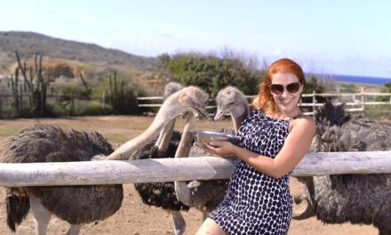 Aruba Ostrich Farm Tour