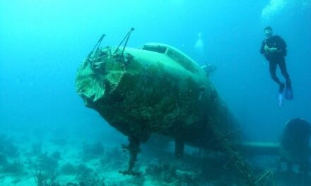 Private Boat Dive Aruba