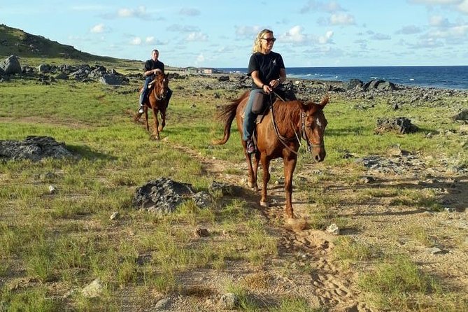 Aruba Horseback Alto Vista