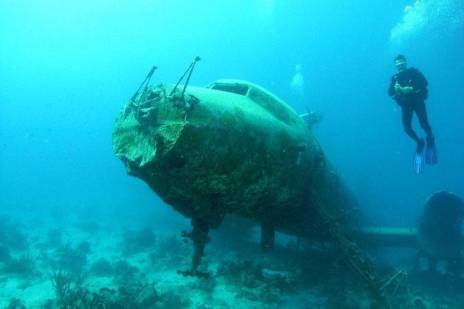 Private Boat Dive Aruba