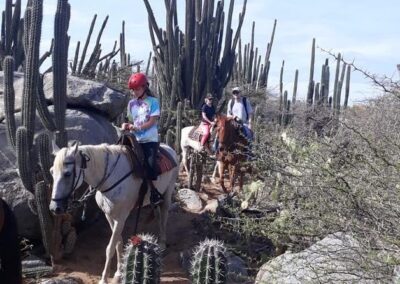 Private Sunset Horseback Aruba