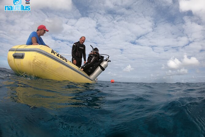 Private Boat Dive Aruba