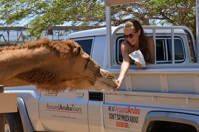 Aruba Safari Jeep Tours