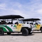 Natural Pool & Baby Beach Jeep Tour