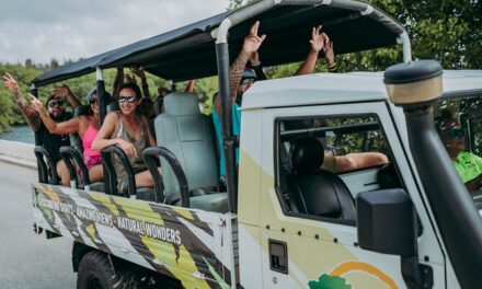 Natural Pool & Baby Beach Jeep Tour