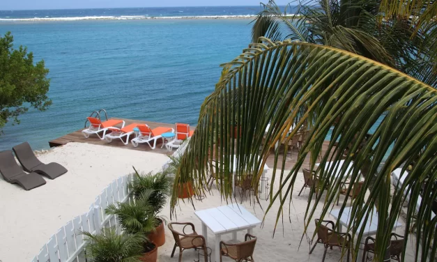 Coral Reef Beach Aruba