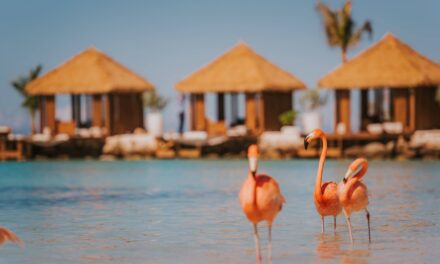 Unveiling Excellence: Renaissance Wind Creek Aruba Resort