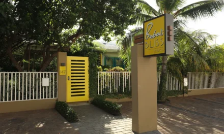 Bubali Bliss Studios